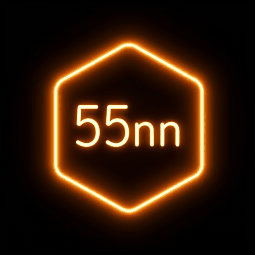 55nn Logo